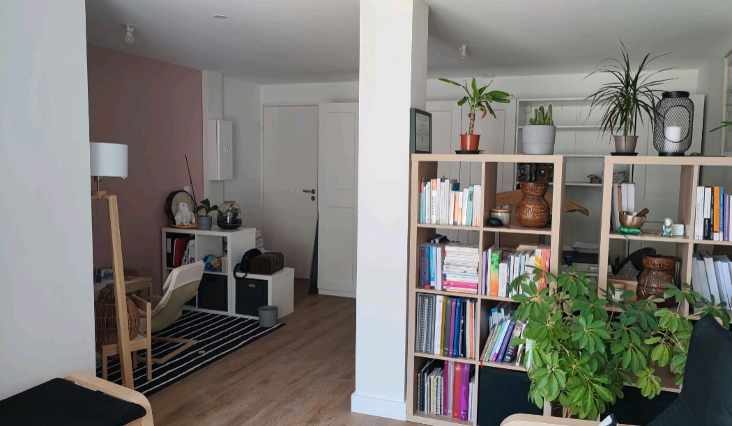 Salon bibliotheque apres renovation - Gemenos