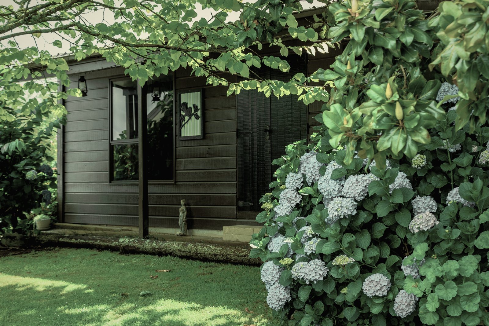 Façade en bardage bois sombre à larges fenêtres, bordée d'hortensias et d'une pelouse, photo d'illustration