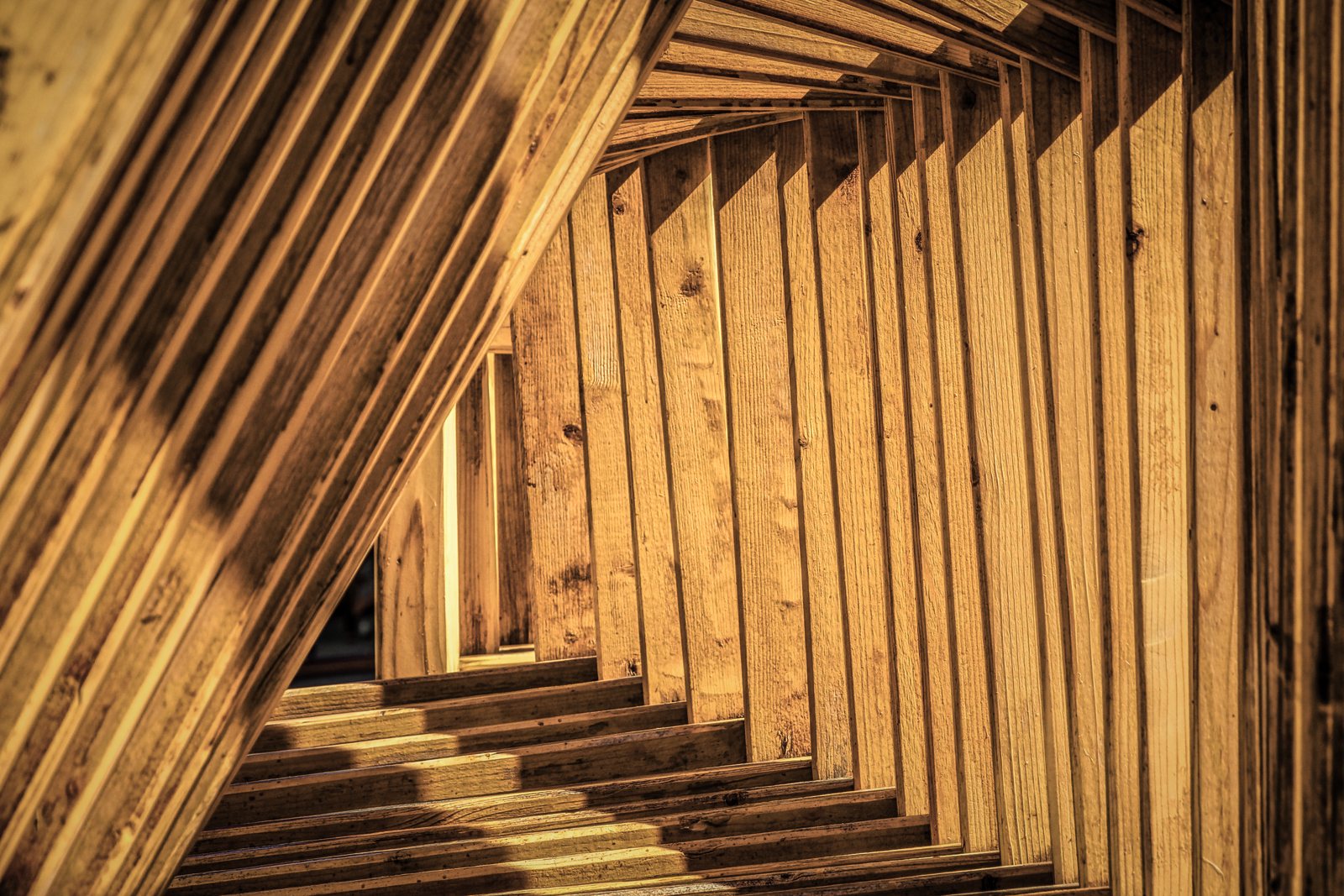 Enfilade de fermes en bois clair assemblées, baignée d'une lumière chaude, photo d'illustration