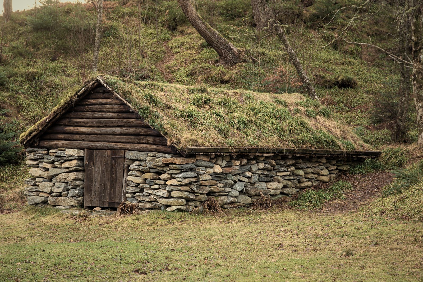 Petit bâtiment en pierre sèche et rondins coiffé d'une toiture végétalisée, adossé à une pente, photo d'illustration