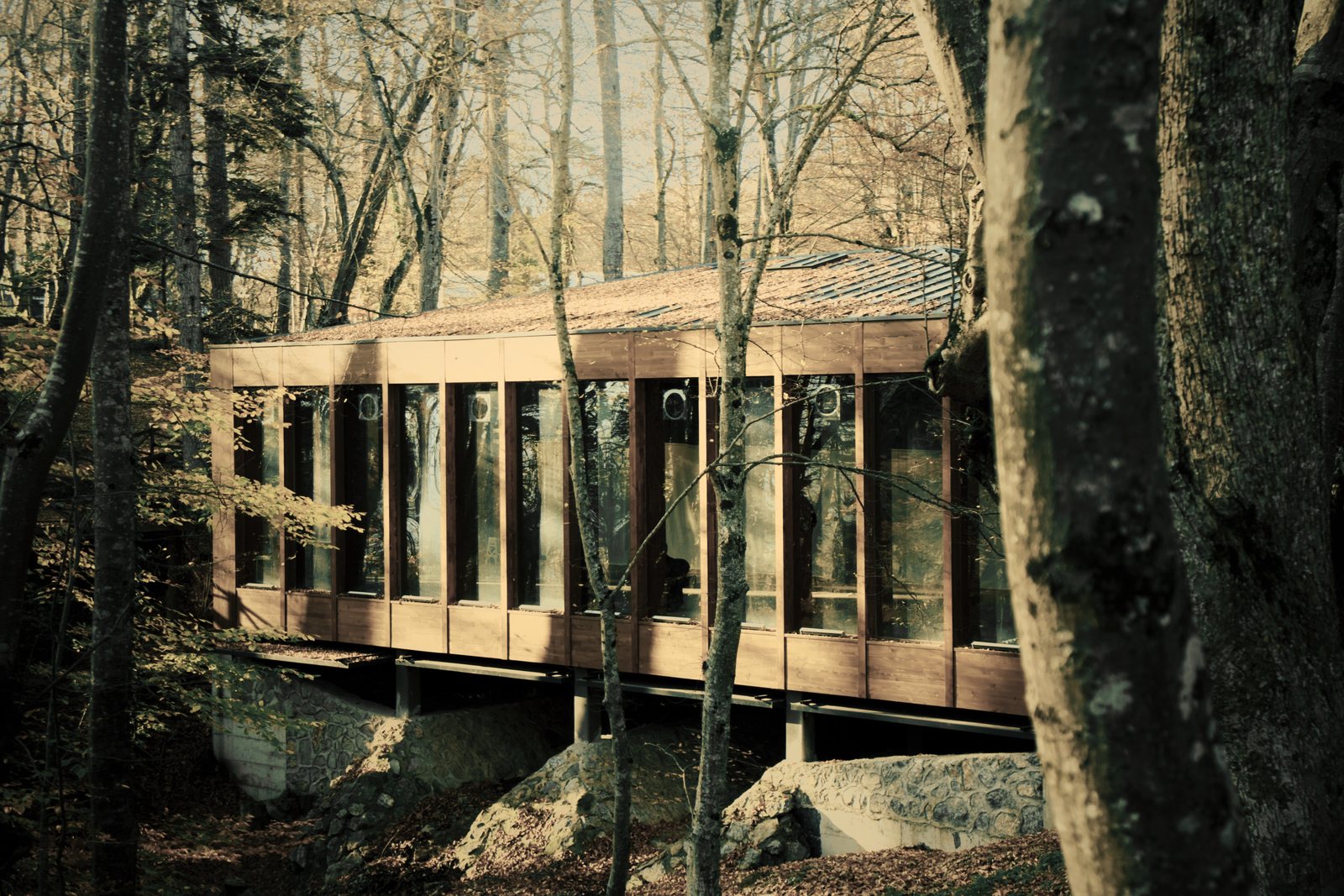 Pavillon vitré à structure bois posé sur des rochers au milieu d'une forêt de feuillus, photo d'illustration