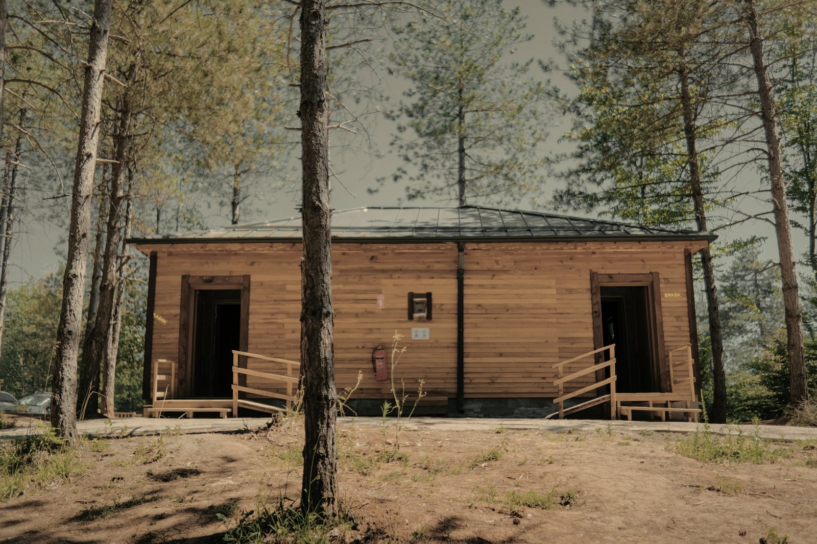 Maison de plain-pied en bardage bois clair à deux entrées, parmi les pins sur un sol sablonneux, photo d'illustration