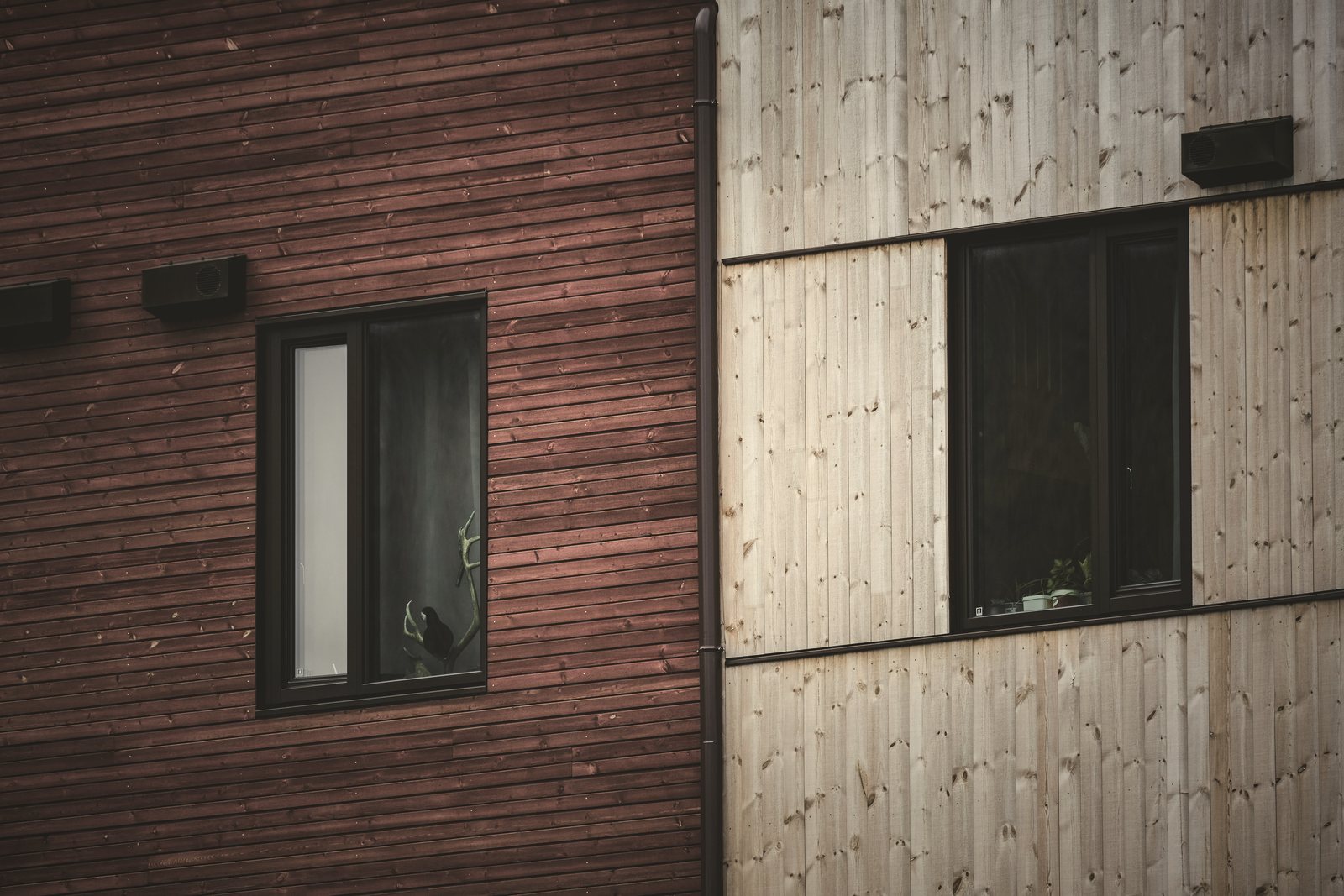 Façade associant bardage bois teinté rouge et bardage bois naturel, avec fenêtres sombres, photo d'illustration