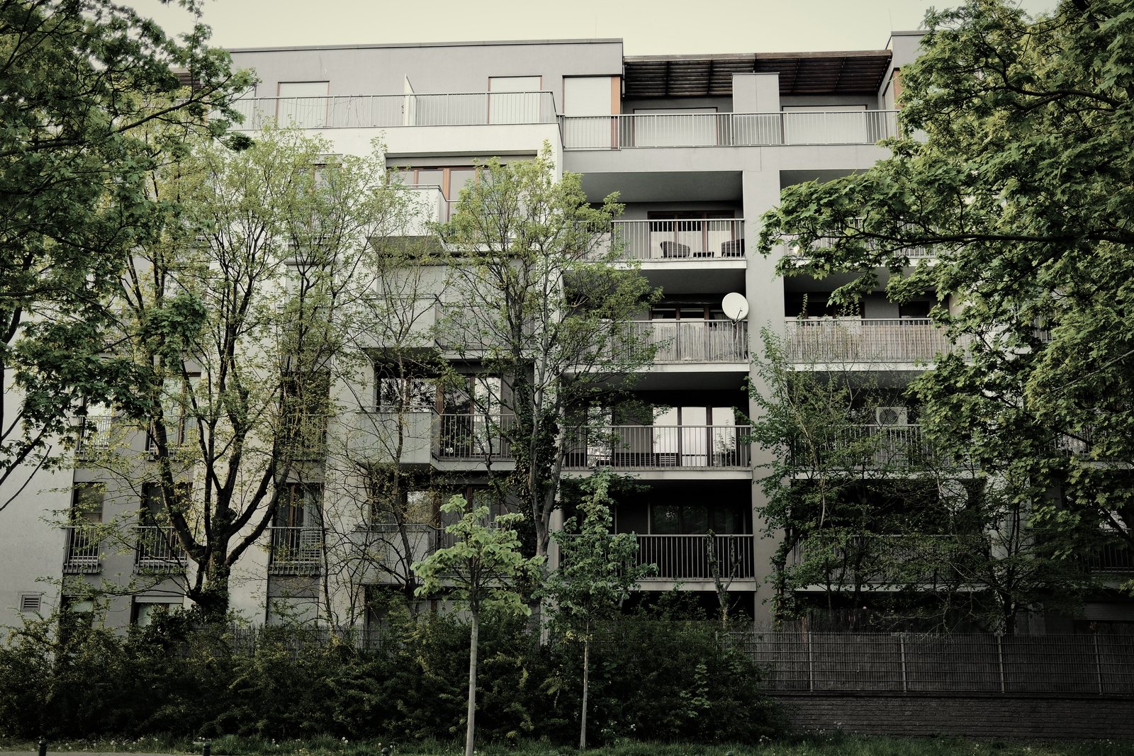Résidence de logements collectifs à balcons, en grande partie masquée par de jeunes arbres, photo d'illustration