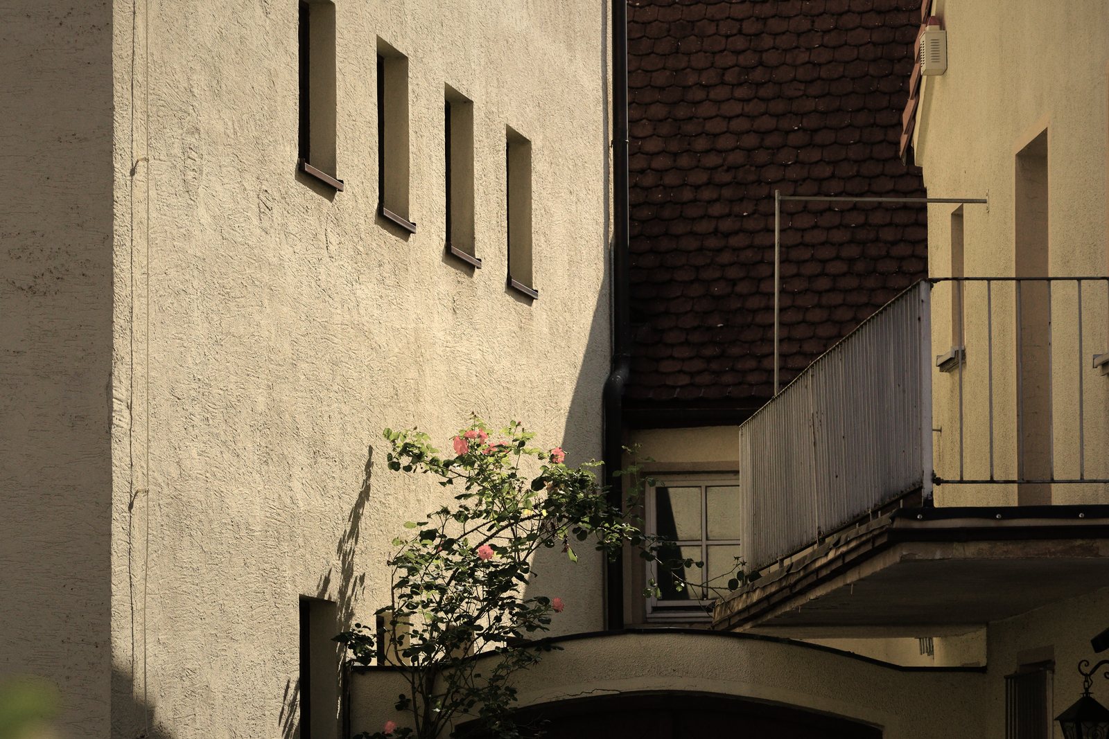 Cour étroite entre des façades enduites, petit balcon en saillie à garde-corps plein et rosier en fleurs, photo d'illustration