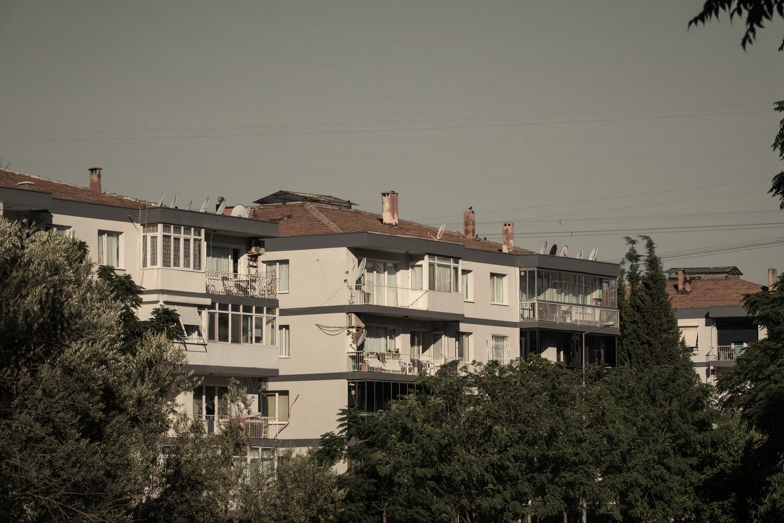 Petits immeubles de logements à toits de tuiles et balcons, en partie masqués par des arbres, photo d'illustration