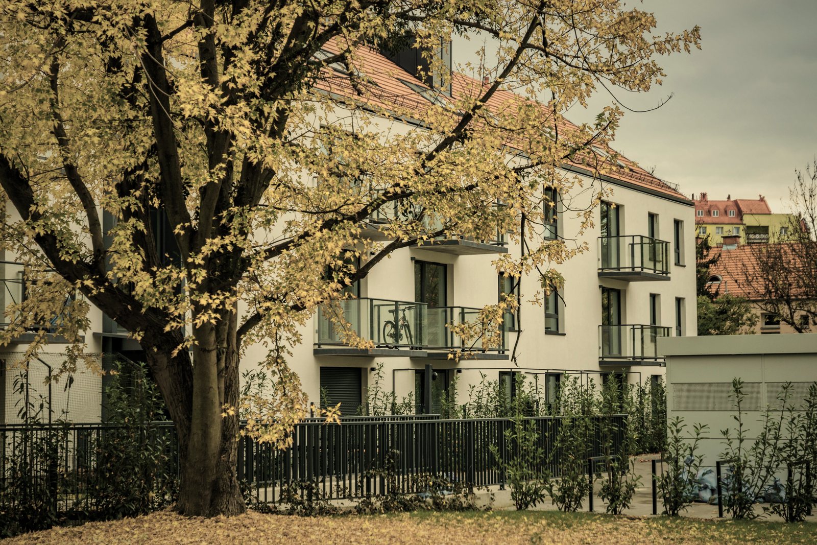 Petit immeuble de logements sous toiture en pente, derrière un grand arbre jaune et une clôture, photo d'illustration