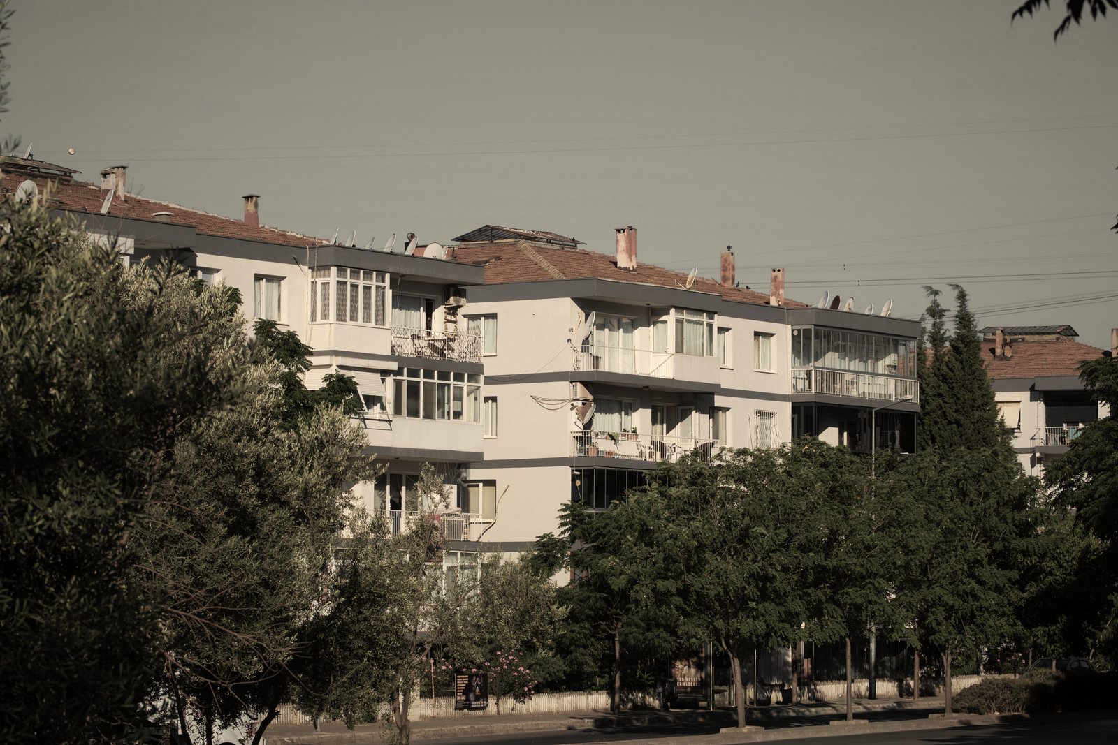 Petits immeubles blancs à toits de tuiles et balcons, derrière une rangée d'arbres, photo d'illustration