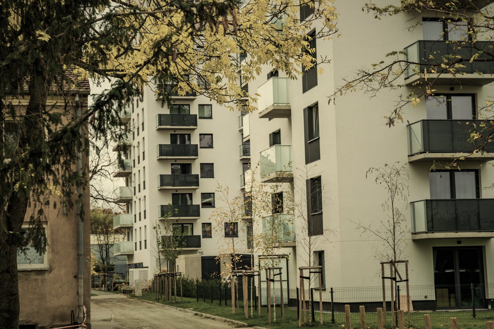 Immeubles de logements blancs à balcons, jeunes arbres plantés le long d'une allée, photo d'illustration