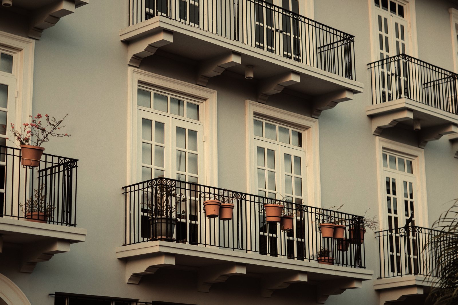 Balcons en fer forgé ornés de pots de fleurs sur une façade blanche aux portes-fenêtres, photo d'illustration