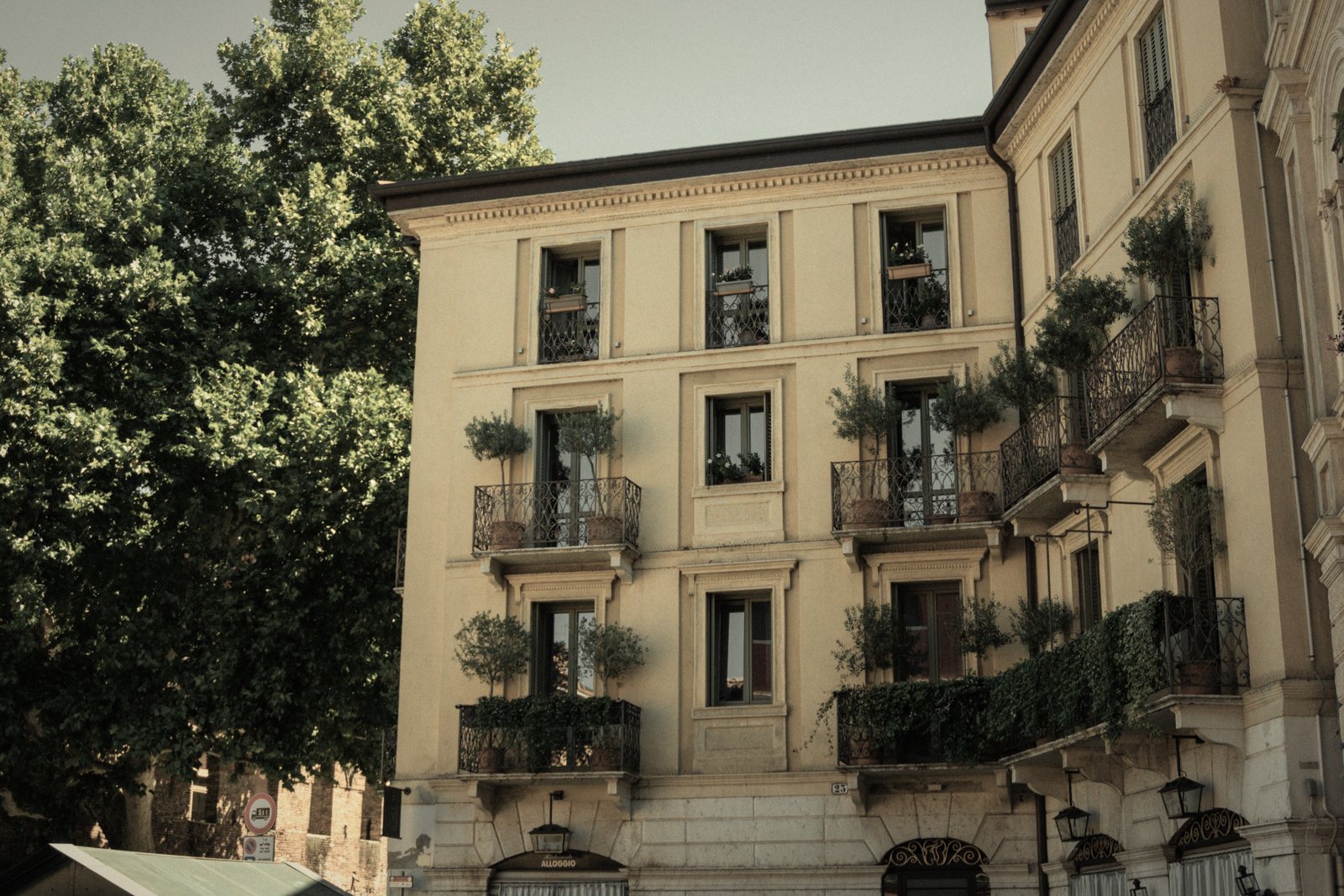 Immeuble ancien à façade crème, balcons garnis de plantes et grand arbre au premier plan, photo d'illustration