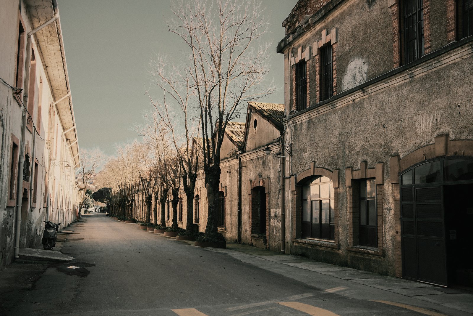 Rue bordée d'anciens bâtiments d'activité en pierre et d'arbres taillés, sans circulation, photo d'illustration